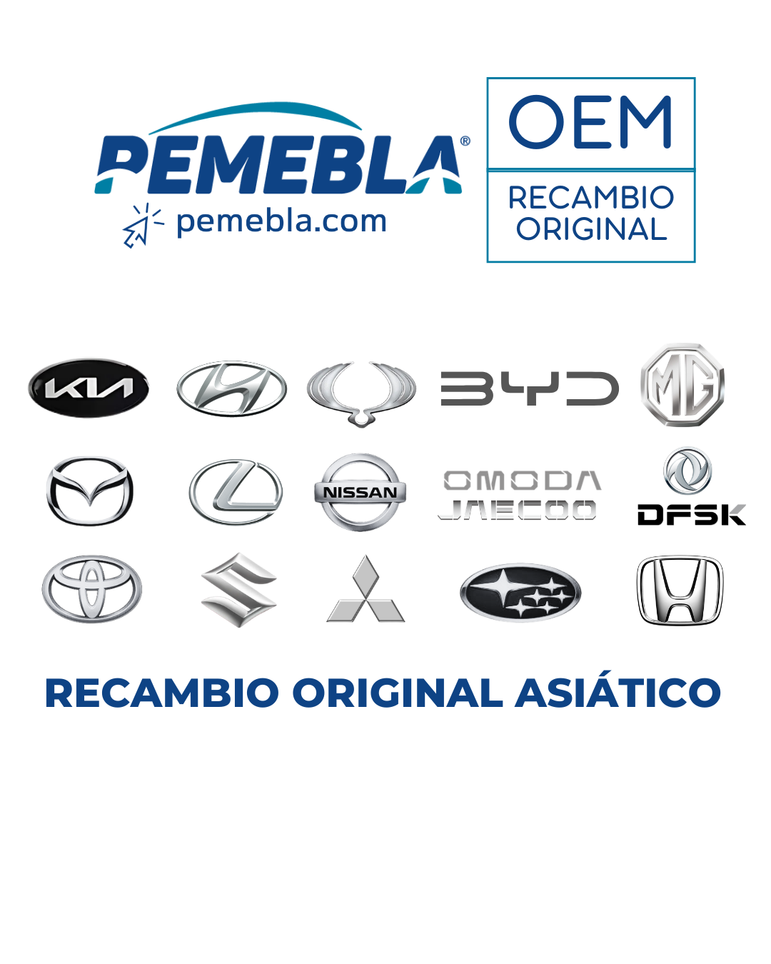 Recambio original para las nuevas marcas asiáticas: Extendemos nuestra cobertura de recambio original.